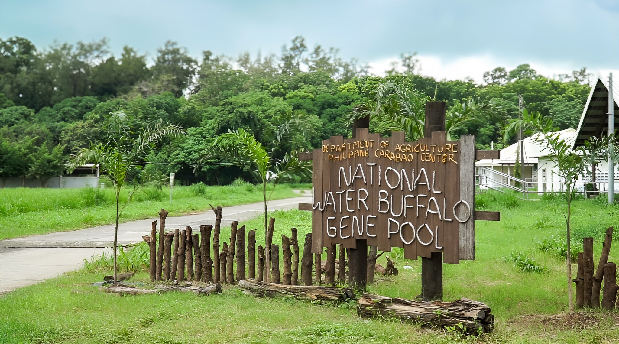 Entrance of the Gene Pool